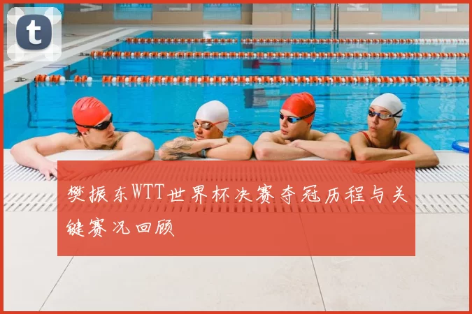 樊振东WTT世界杯决赛夺冠历程与关键赛况回顾