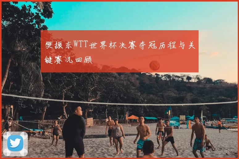 樊振东WTT世界杯决赛夺冠历程与关键赛况回顾